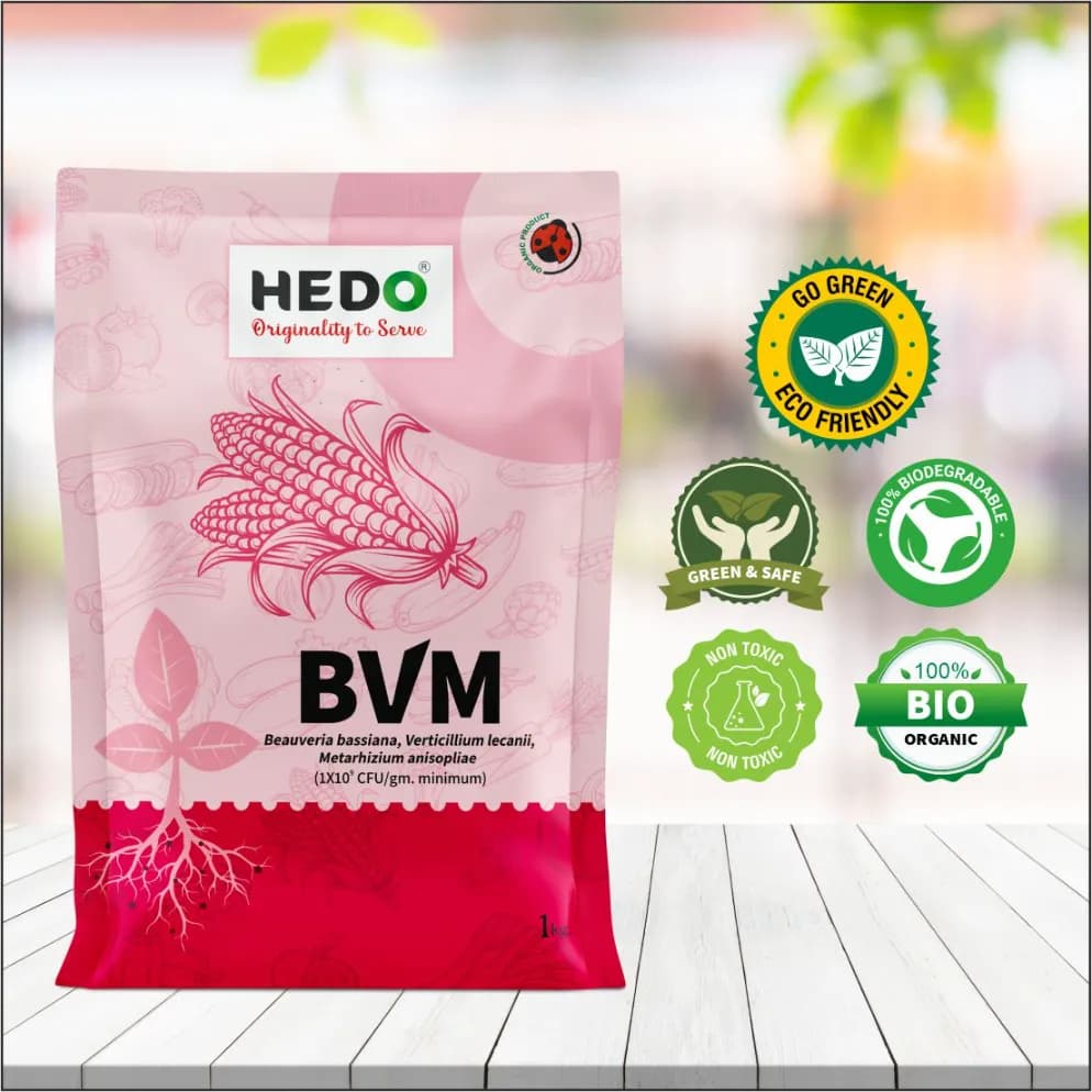 HEDO BVM Powder Bio-Insecticide - Beauveria bassiana + Verticillum Lecanii + Metarhizium Anisopliae - Image 9