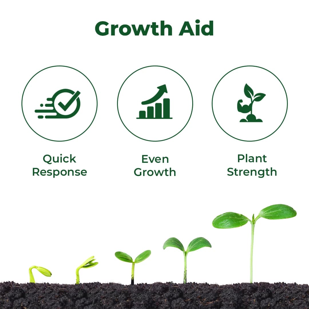 EBS Jivan Sodium Para Nitro Phenolate 0.3% SL, Widely Used Plant Growth Promoter, Use for Food Crops, Cash Crops, Vegetables, Fruits and Flowers - Image 3