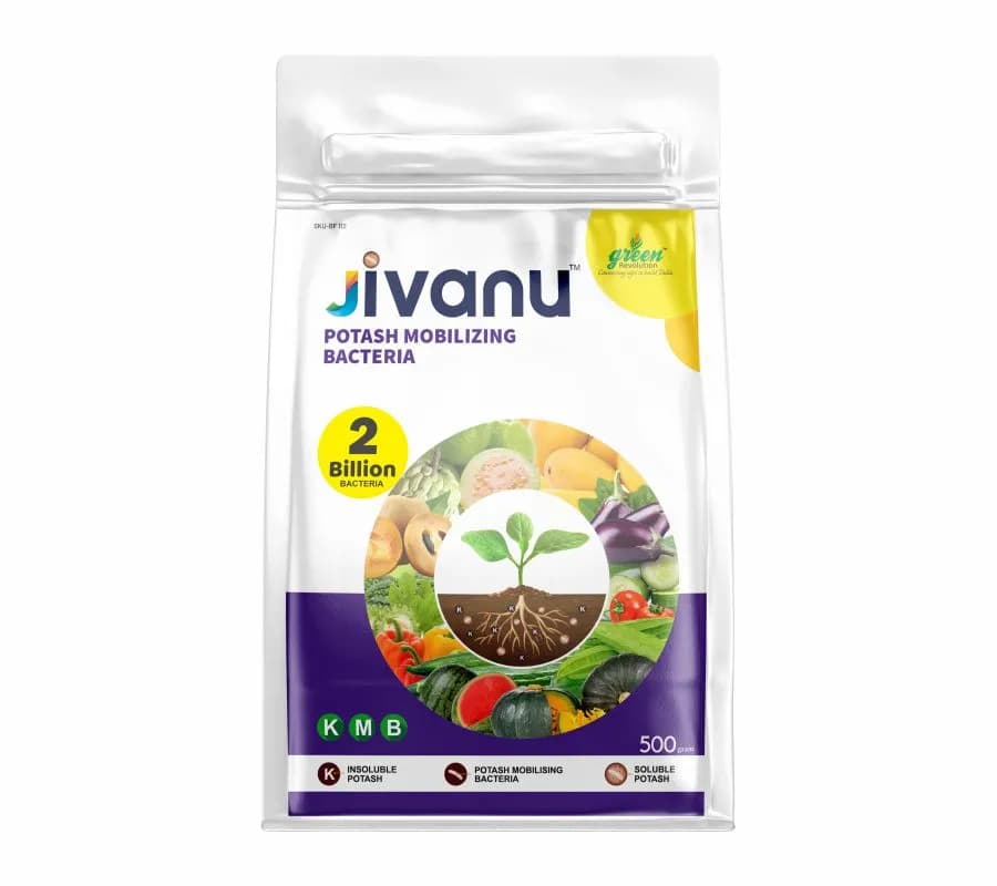 Jivanu (Potassium Solubilizing and Mobilizing Bacteria KSB, KMB) Bio Fertilizers - Image 2