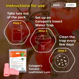Gaiagen Pheromone Lure For Tomato Leafminer Tuta Absoluta And Insect Water Trap 1.6L, IMO Certified. 2