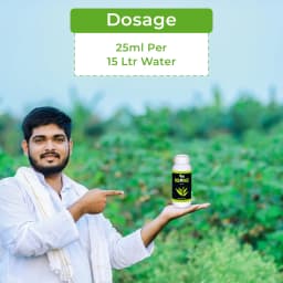 Neemz - Natural and Water-Soluble Neem Oil to Reduce Insect Growth, Effective Against Thrips, Whiteflies, Aphids, Leaf Miners, and Bugs 5