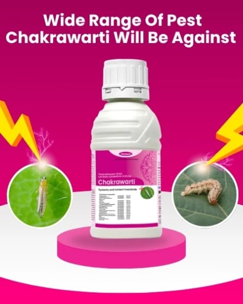 Katyayani Chakrawarti Thiamethoxam 12.6% + Lambda cyhalothrin 9.5% ZC Dual Mode Insecticide For Plants - Image 6