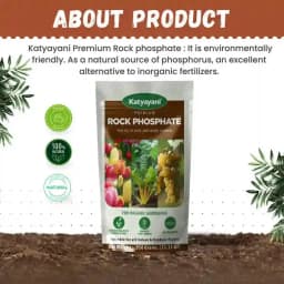Katyayani Organic Rock Phosphate Essential Fertilizer All Purpose Natural Source of Phosphate. 2