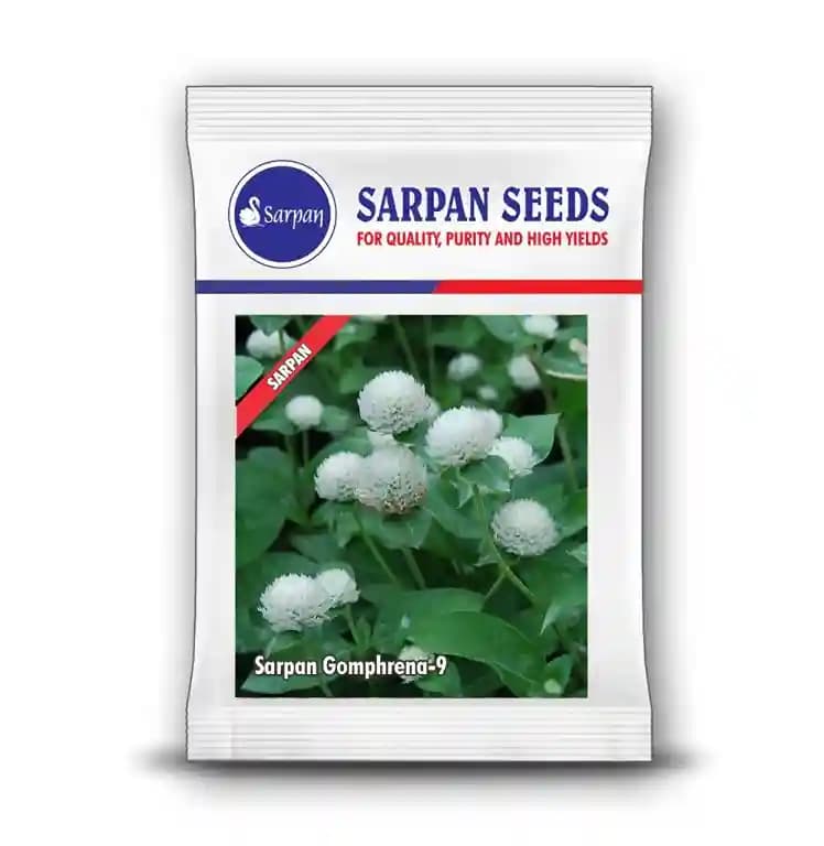 Sarpan Gomphrena-9 White Flower Seeds, Snow White, Very Attractive, Excellent Shelf Life - Image 1