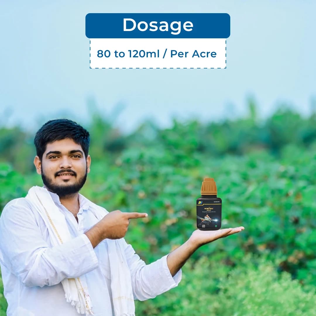 Nominee Gold Bispyribac Sodium 10% SC , Post Emergent Herbicide , Broad Spectrum Systemic Herbicide for all Types of Rice Cultivation - Image 5