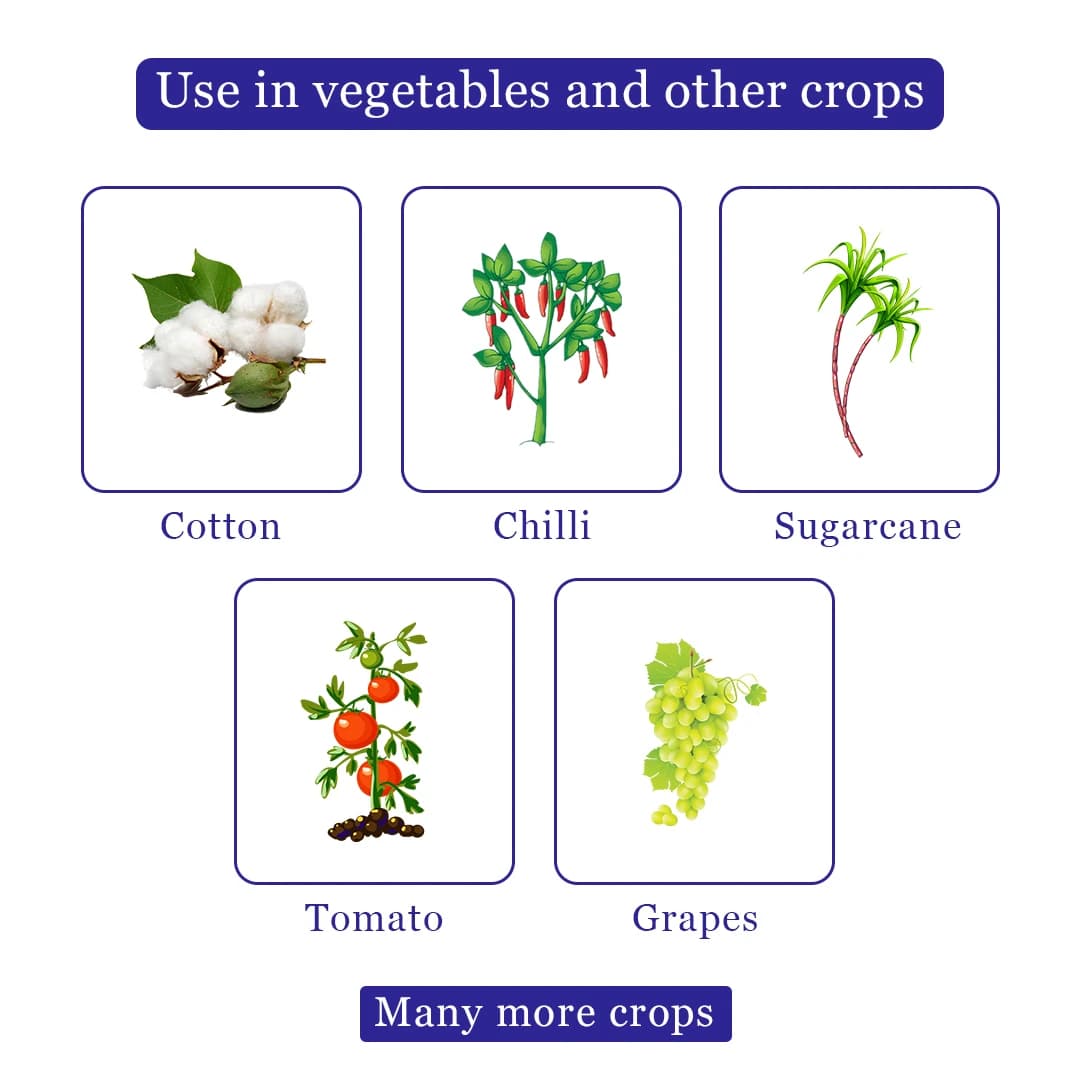 Dhanuka Media Insecticide - Image 4