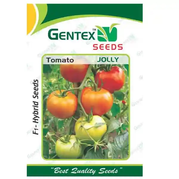 Gentex F1 Hybrid Jolly Tomato seeds, Attractive Red Color, Tolerant to TLCV and Early Blight, Suitable For Seasons