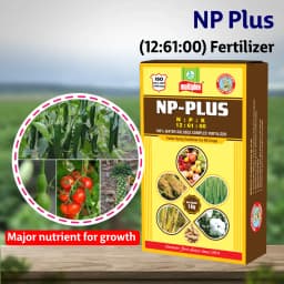 Multiplex NP-Plus Npk 12:61:00 Fertilizer, Nitrogen And Phosphorus For Better Root Growth, Higher Yield 3