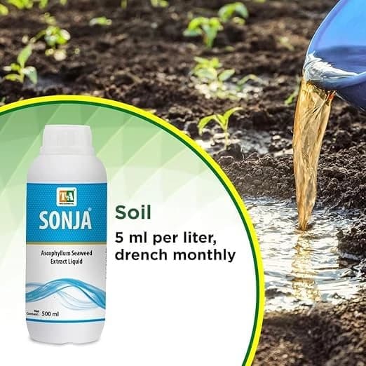 Titan Agritech SONJA Seaweed Liquid 20% Ascophyllum Extract, Natural Plant Biostimulant For Growth And Yield - Image 4