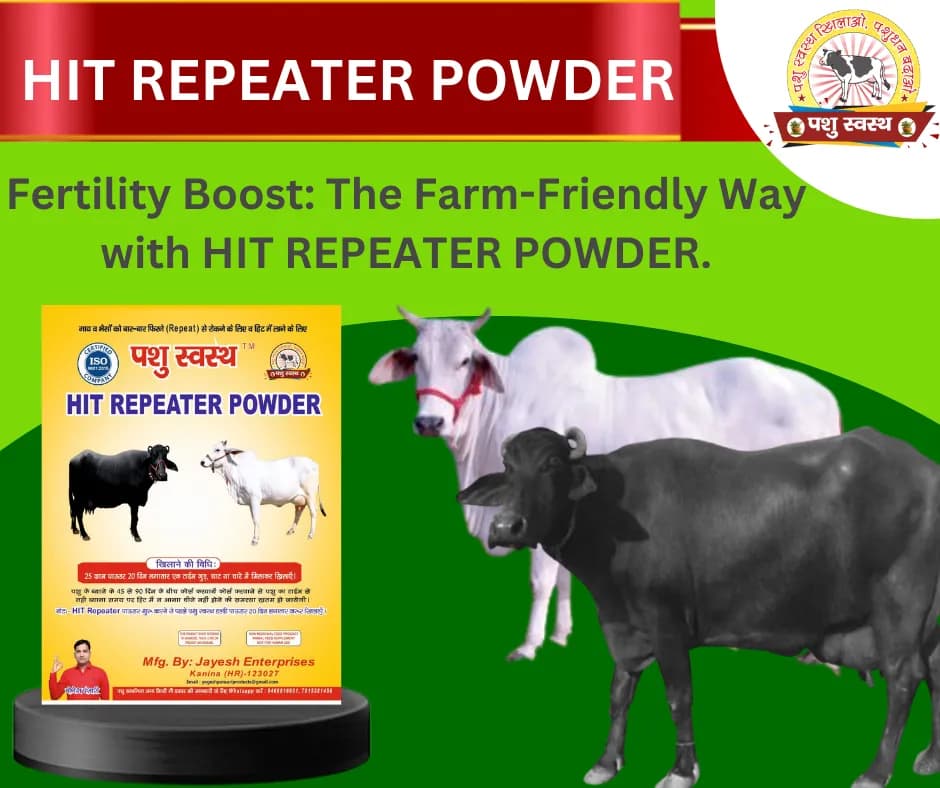 PASHU SVASTH HIT REPEATER POWDER, Natural Herbs Formula For Improved Fertility And Preventing Repeat Breeding In Cows And Buffaloes - Image 5