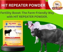 PASHU SVASTH HIT REPEATER POWDER, Natural Herbs Formula For Improved Fertility And Preventing Repeat Breeding In Cows And Buffaloes 5