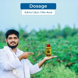 MBF G-40 Glyphosate 41% Systemic Herbicide, For Controlling Weeds of Tea and Non Crop Areas 5