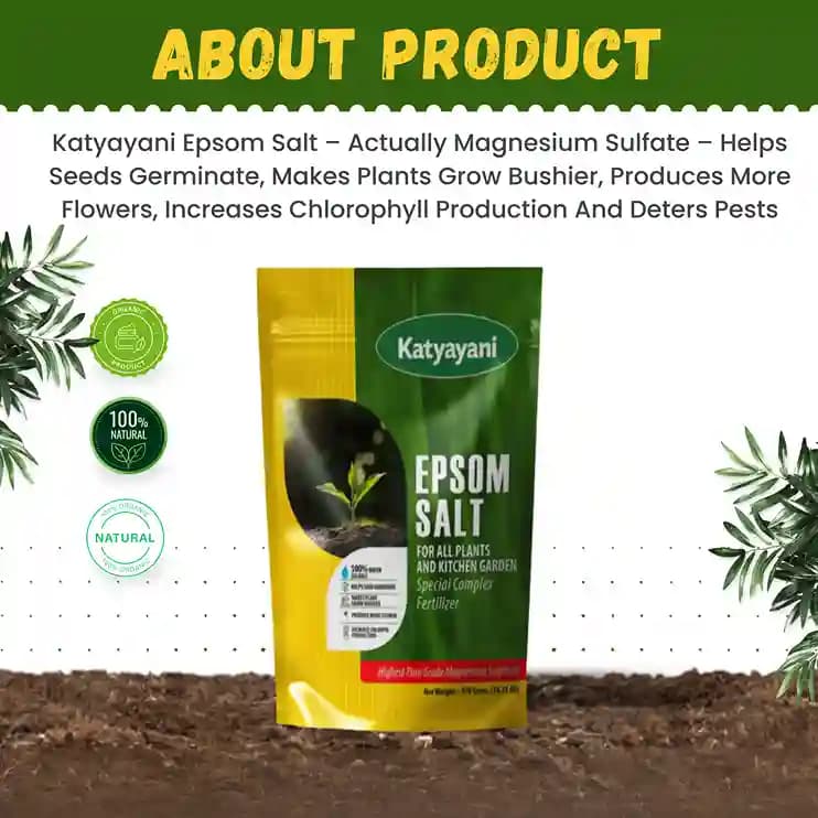 Katyayani Epsom Salt (Magnesium Sulphate) Micro-Nutrient for Plants & Vegetables, Water Soluble Plant Fertilizer - Image 2