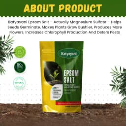 Katyayani Epsom Salt (Magnesium Sulphate) Micro-Nutrient for Plants & Vegetables, Water Soluble Plant Fertilizer 2
