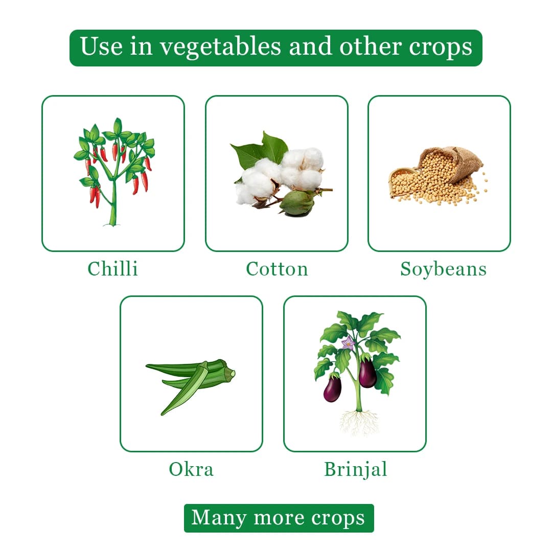 GSP Helipower Chlorantraniliprole 9.3% + Lambda Cyhalothrin 4.6% ZC Insecticide, Use For Cotton, Soybean, Paddy, Pigeon Peas, Brinjal and Okra - Image 4