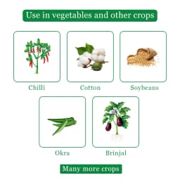 GSP Helipower Chlorantraniliprole 9.3% + Lambda Cyhalothrin 4.6% ZC Insecticide, Use For Cotton, Soybean, Paddy, Pigeon Peas, Brinjal and Okra 4