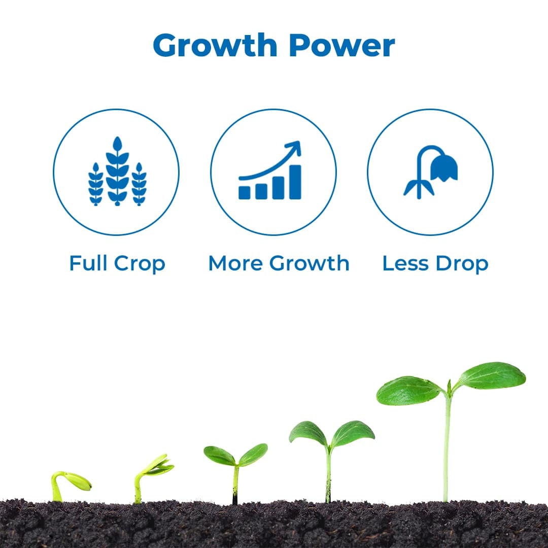 रामसाइड्स ऑलविन गोल्ड सुपर पौध वृद्धि नियामक, विशेष रूप से सब्जी फसलों में उपयोग किया जाता है - Image 3