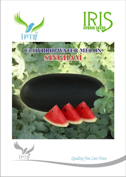 Iris Hybrid Fruit Seeds, F1 Hybrid Watermelon Singham, Dark Blackish Color, Ice Box Segment