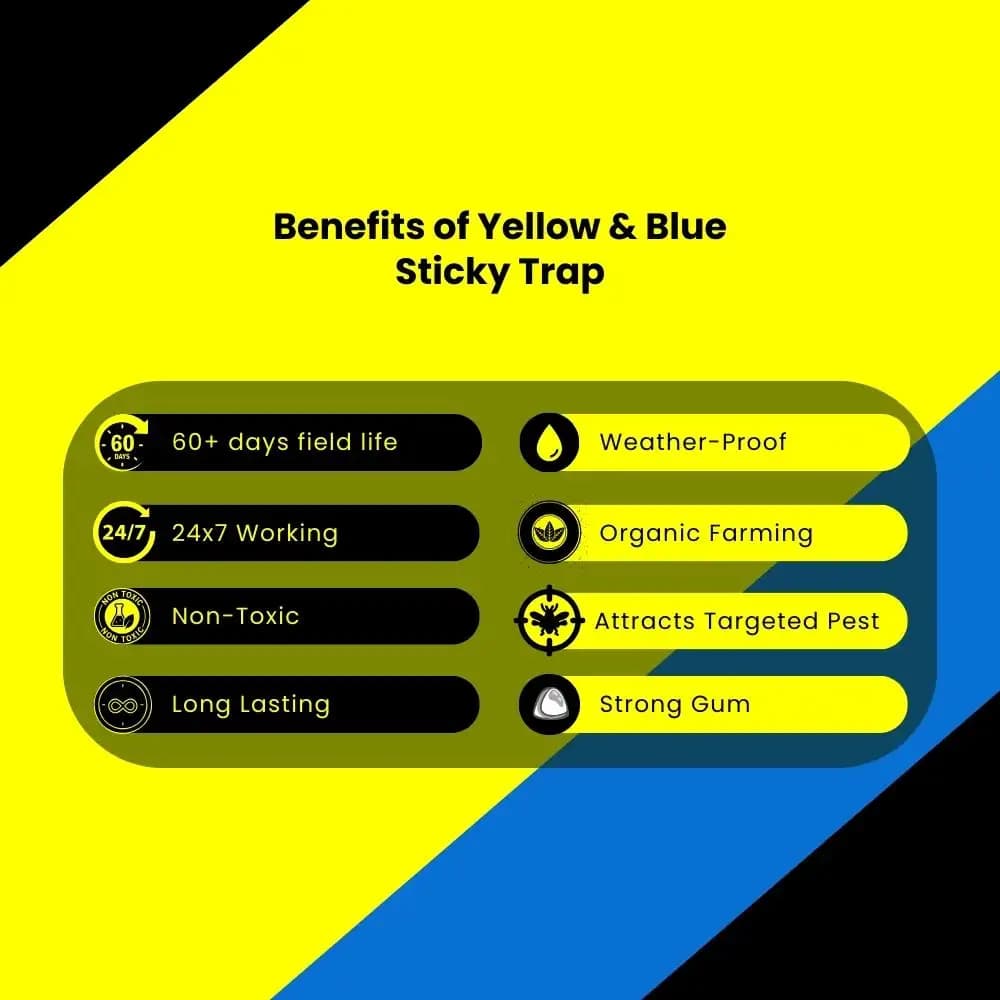 चिपकू येलो स्टिकी ट्रैप, सफ़ेद मक्खी, थ्रिप्स, लीफ माइनर, माहूँ, जैसिड्स, गैर-विषाक्त, जलरोधक और लंबे समय तक चलने वाला। - Image 9