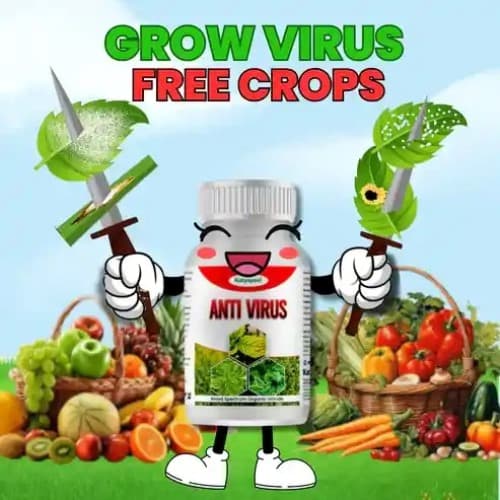Katyayani Anti Virus Broad Spectrum Organic Virucide For All Viral Plant Diseases - Image 2