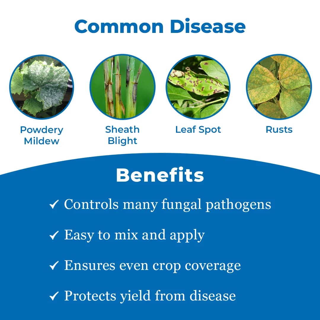 Dhanuka Spectrum Fungicide - Image 3
