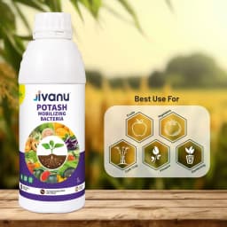 Green Revolution Jivanu KMB Potash Mobilizing Bacteria Liquid Bio Fertilizer 7