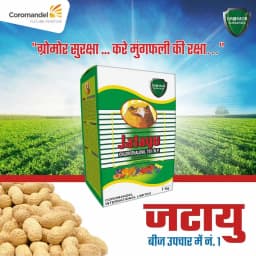 Coromandel Jatayu Chlorothalonil 75% WP Fungicide, A Broad Spectrum Contact Fungicide and is Highly Effective Against Anthracnose. 6