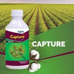 Hpm Capture Profenophos 50% EC Insecticide, Effective Control of Bollworms & Sucking Pests In Cotton 2