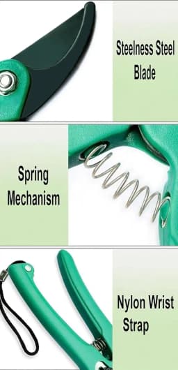 Radhe Agri Garden Stem Cutter, Strong Metal Pruning Shears For Plant Trimming and Bonsai Cutting (Pack of 2) 4