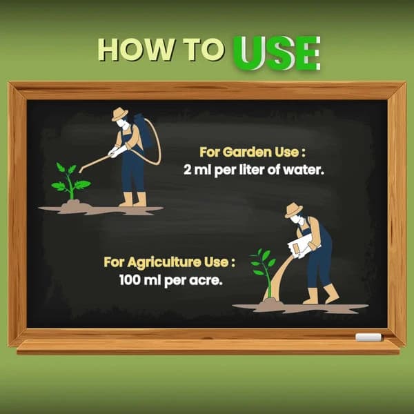 Katyayani Bloom Booster Homobrassinolide 0.04% Plant Growth Regulator, Use for Cotton, Brinjal, Chili, Banana, Cabbage, Cauliflower, Vegetables, Fruit - Image 5