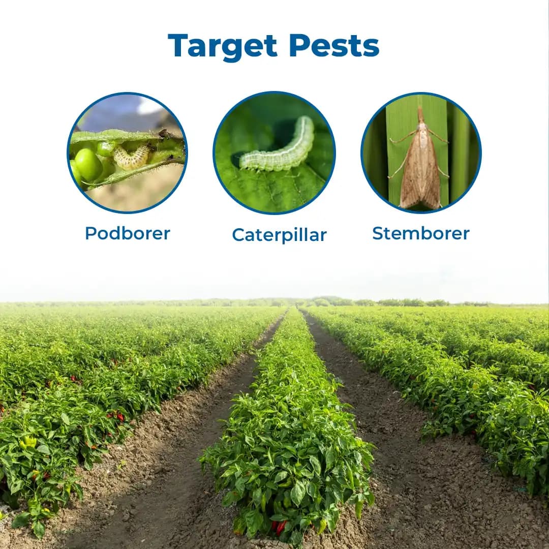 UPL Gunther Novaluron 5.25% + Emamectin Benzoate 0.9 % SC Insecticides, Best For Chilli. - Image 3