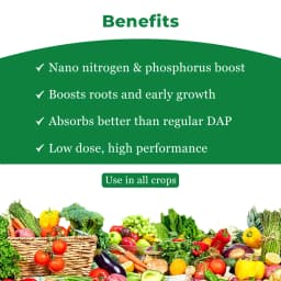Coromandel GROMOR Nano DAP Fertilizer, These Nutrients Into Nano Polymers Capsules Or Nano Clay Material 4