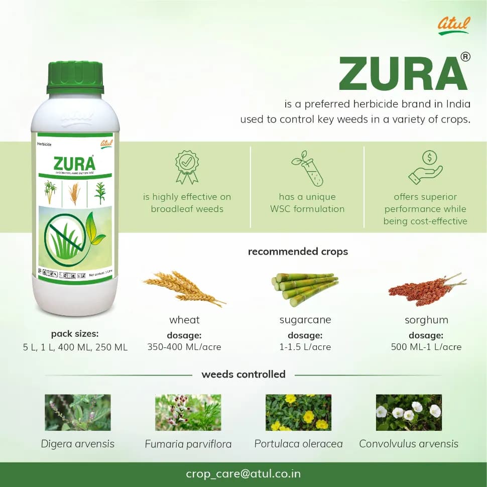 Atul ZURA 2, 4-D Dimethyl Amine Salt 58% WSC Herbicide, Post-Emergence, Effective Control Broadleaf Weeds In Multiple Crops - Image 2