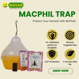 WAVAR Bactrocera Dorsalis Macphil Trap, Easy To Install, Effective Fruit Fly Control 3