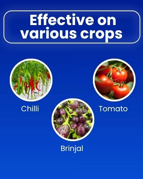 Katyayani Ozil Spiromesifen 22.9% SC Insecticide, Advanced Chemical for Targeted Pest Management - Image 4