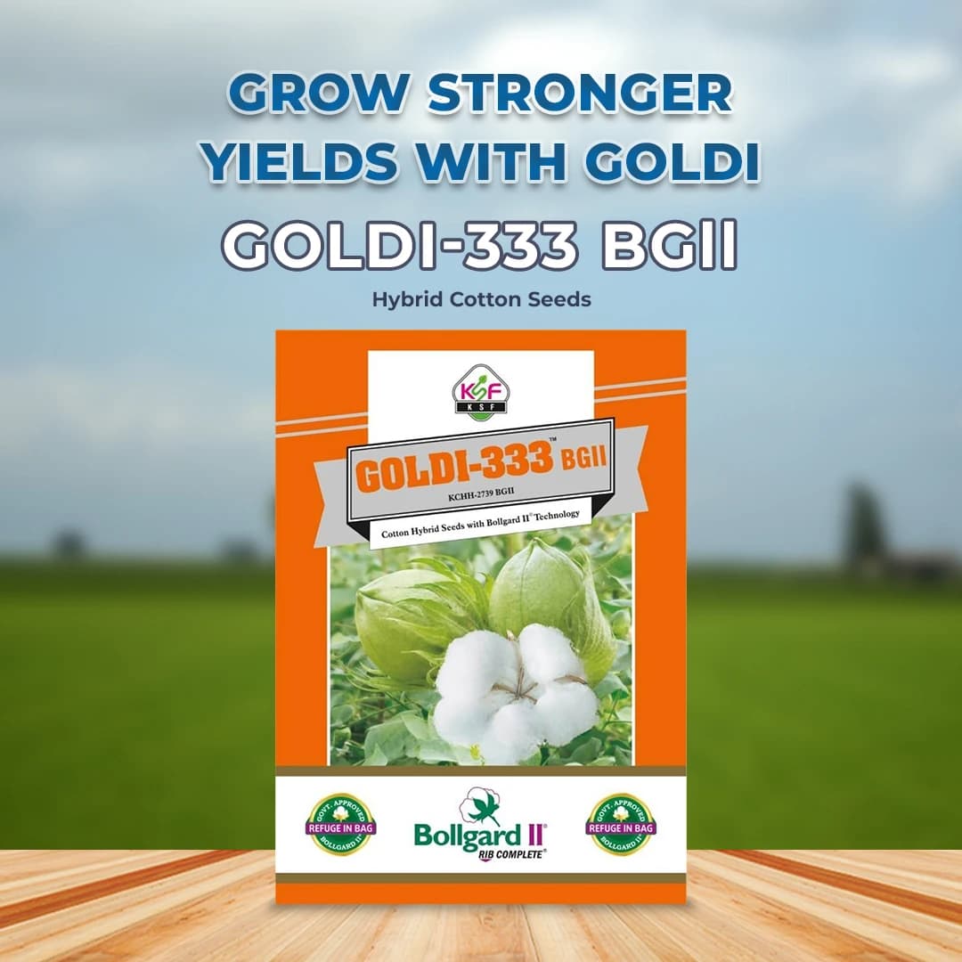 Goldi-333 BGll Hybrid Cotton Seeds (475 Gm) Bollgard ll Technology, Kapas Ke Beej - Image 2
