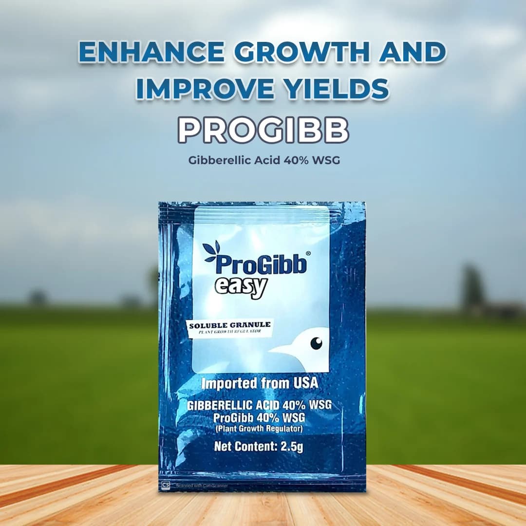 Sumitomo Progibb Easy Gibberellic Acid 40% WSG Plant Growth Regulator Used For All Crops - Image 2
