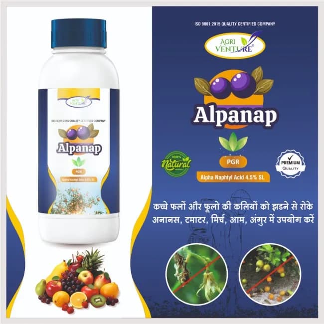 Agriventure Alpanap Alpha Naphtyl Acid 4.5% SL, Induces Flowering & Prevents Fall Of Unripe Fruits And Shedding Of Buds - Image 2