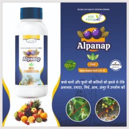 Agriventure Alpanap Alpha Naphtyl Acid 4.5% SL, Induces Flowering & Prevents Fall Of Unripe Fruits And Shedding Of Buds 2
