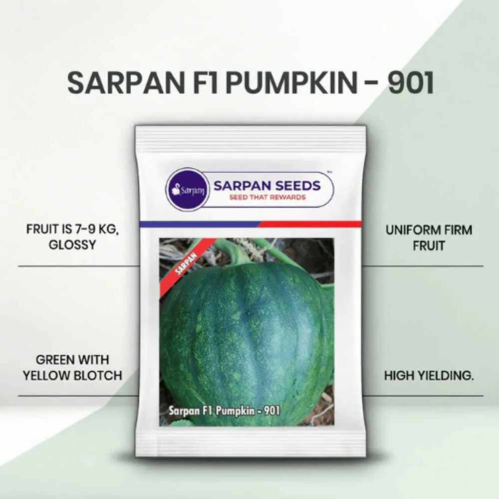 Sarpan F1 Pumpkin-901, Pumpkin Seeds, High Round Fruits, High yielding Variety