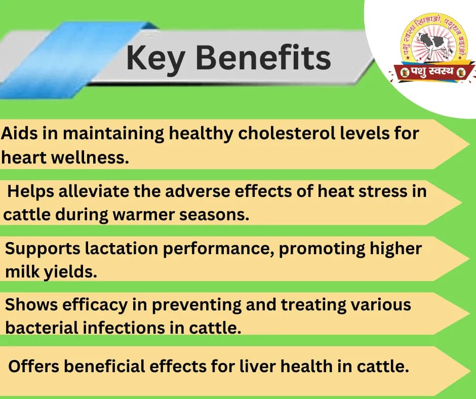 PASHU SVASTH AMLA POWDER, Best For Cattle Immunity, Digestion And Vitamin C Boost - Image 2