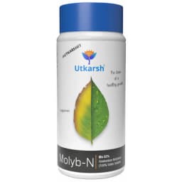 Utkarsh Molyb-N (Mo 52% Ammonium Molybdate) (100% Water Soluble Fertilizer), Improves Overall Plant Nutrition & Growth. 1