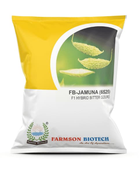 फार्मसन एफबी जमुना 6525 एफ1 हाइब्रिड सफेद करेले के बीज, (छोटे) मजबूत मजबूत बेलें अच्छे अंकुरण के साथ