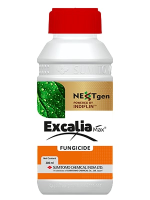 Sumitomo Excalia Max Inpyrfluxam 6% + Tebuconazole 20% SC Fungicide, Dual-Action, Effective For Disease Control In Paddy And Coffee Crops