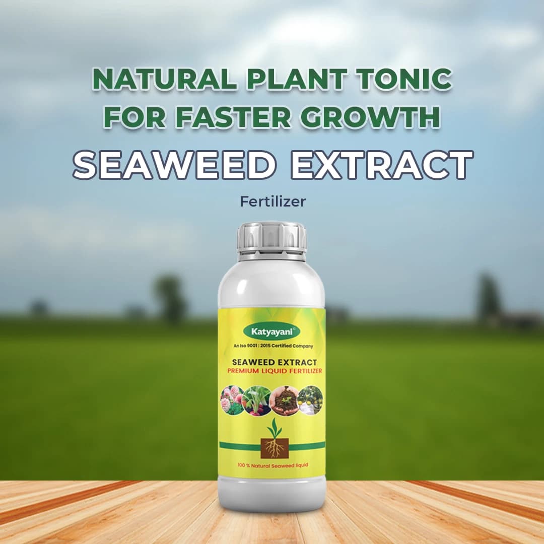 Premium Seaweed Extract Liquid for Plants Vegetables Flowers Fruits Promotes Plant Growth, Flowering, Fruiting - Keeps Plant Healthy and Greenish - Image 2
