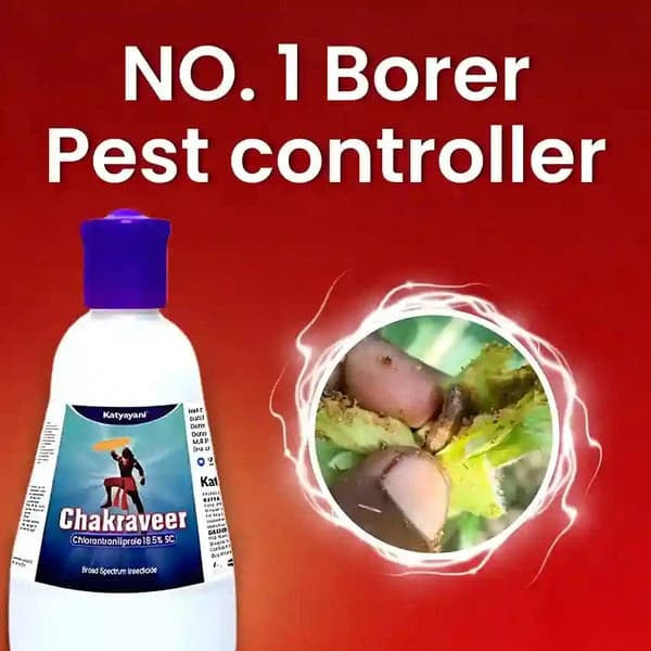 Katyayani Chakraveer Chlorantraniliprole 18.5% SC Insecticide, Advanced Effective Pest Control and Crop Protection - Image 2