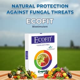 Cropex Ecofit+ Adhatoda Vasica Powder Botanical Extract Biostimulant For Potato Crops Growth 2