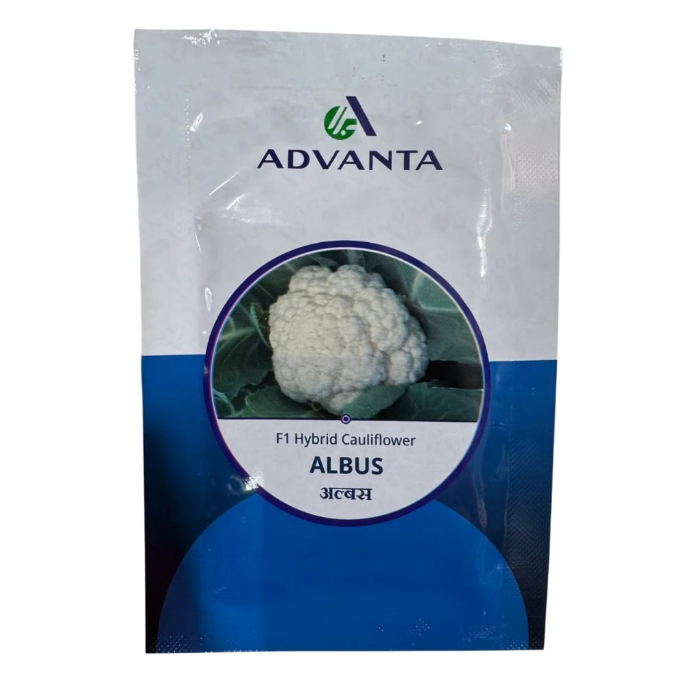 Advanta ALBUS F1 Hybrid Cauliflower Seeds, High Yield Variety, Ideal For Kharif, Rabi And Summer