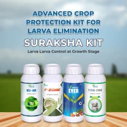 Suraksha Kit for Larva Control at Growth Stage First 40-45 days (F-Zone 250 ML + Star One 250 ML + Spring Ever 1 Ltr + NB 80 250 ML) 2