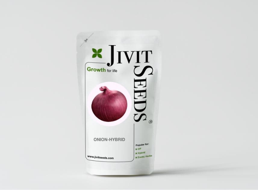 Jivit F1 Hybrid Onion Maanik Seeds, Deep Red Round Bulbs, High Yielding Variety - Image 2